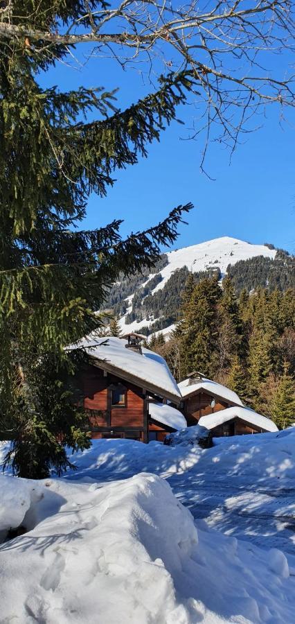 Le Chalet De Nabor Ле-Гет Екстериор снимка